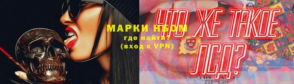 крисы Касимов