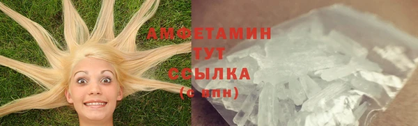 стафф Кодинск