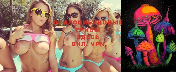 дживик Киренск